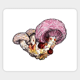 Wrinkled Peach fungus Sticker